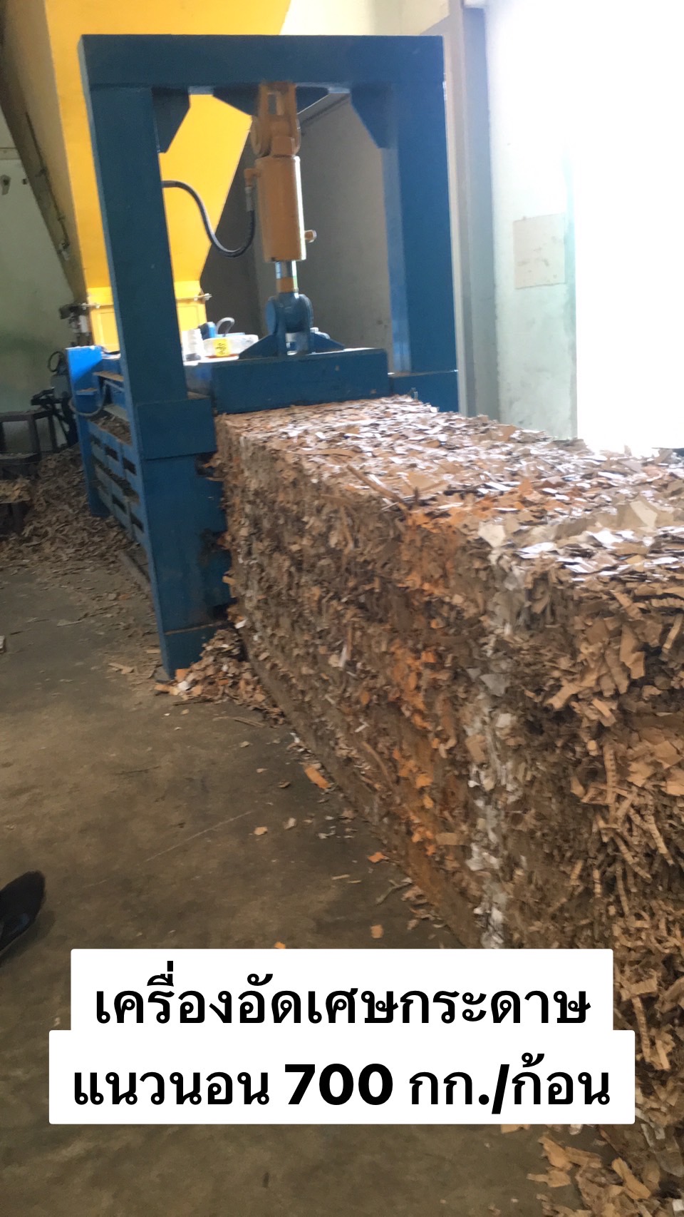 รูปภาพ 3