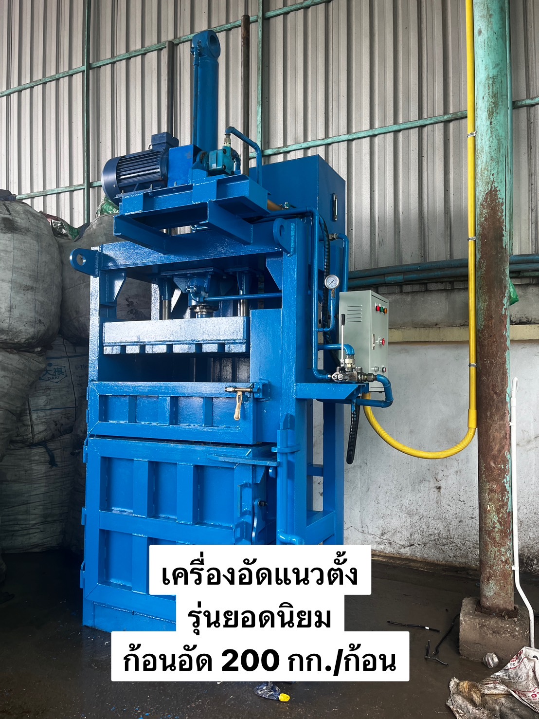 รูปภาพ 5