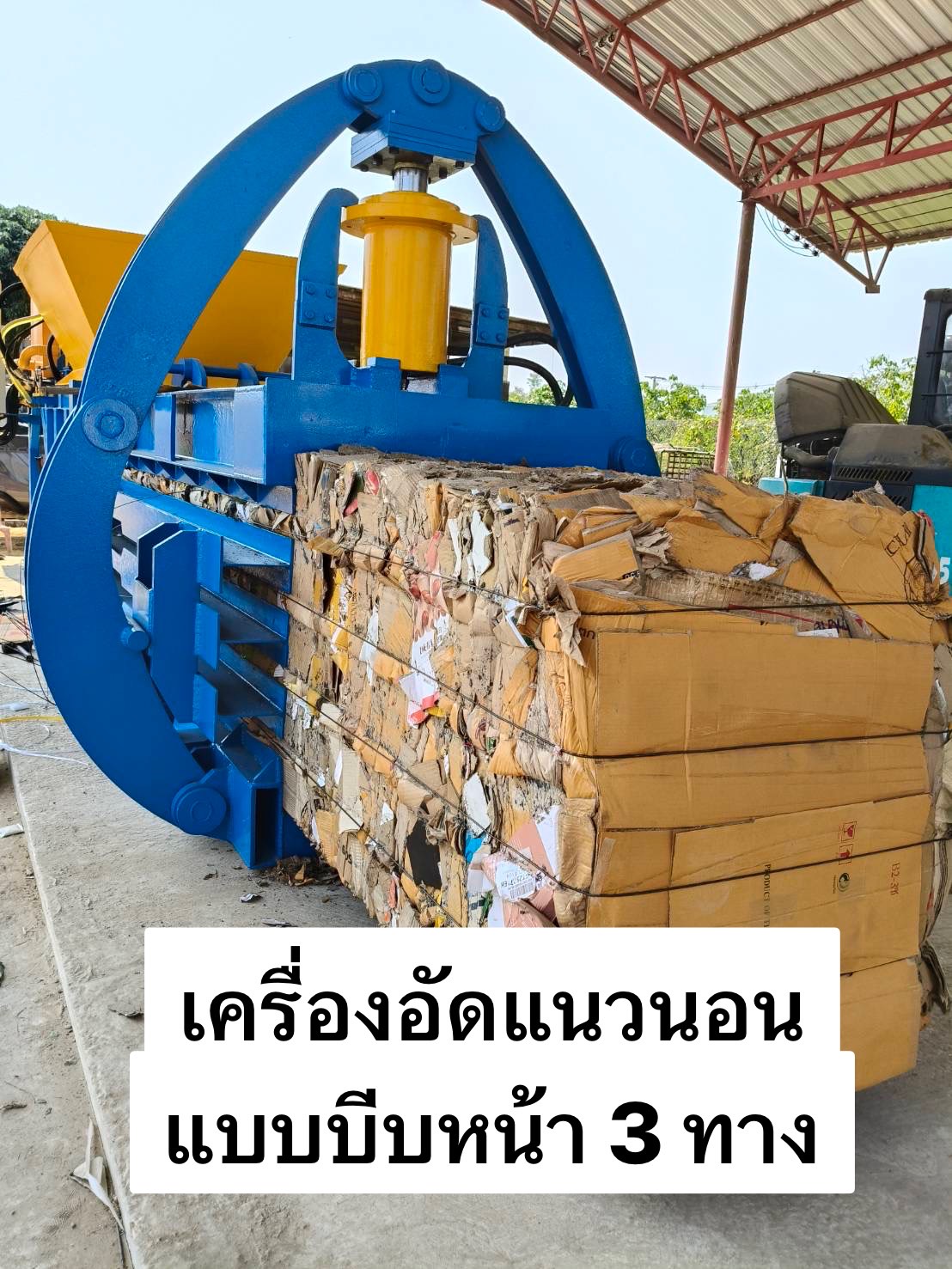 รูปภาพ 9